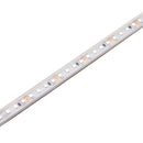 Saxby 118825 Orion67 48V | 4000K 7.2W/M 35M IP67
