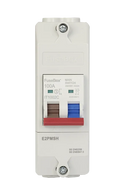 Fusebox E2PMSH ENCLOSED 2P 100A MAIN SWITCH