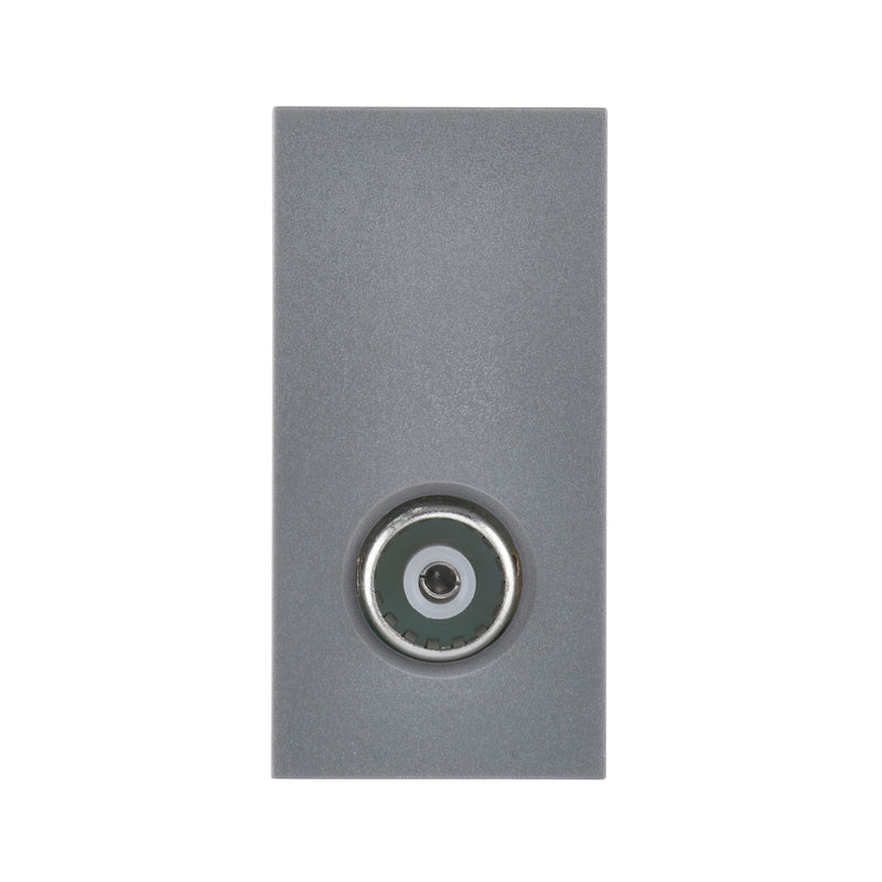 Saxby MOTVGR TV Module
