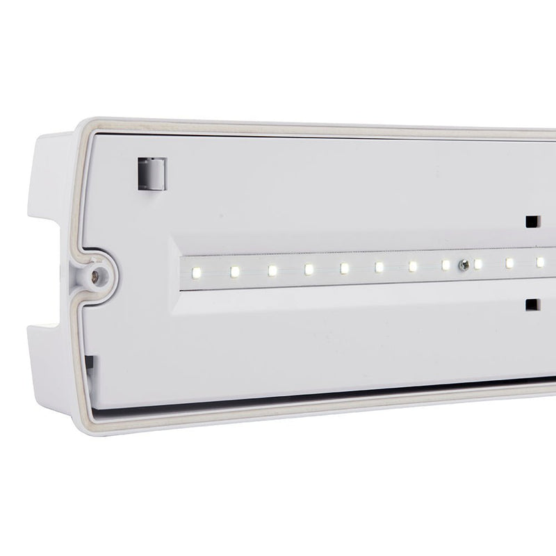 Saxby 91146 Sight Plus IP65 4.5W daylight white - Saxby - Falcon Electrical UK