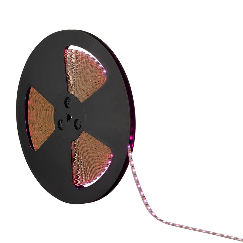 Saxby 99044 OrionRGB 12W-M 30M 360W LED Tape - Saxby - Falcon Electrical UK