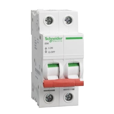 Schneider Electric SEA91252 Switch disconnector 125A 2 Pole - Schneider Electric - Falcon Electrical UK