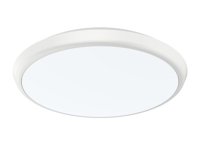 30W WATERPROOF CEILING LIGHT