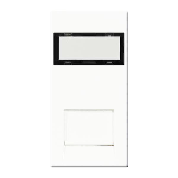 BG EMRJ45C5EW Euro Module Data Module Insert - Rj45, Cat6 (IDC) - BG ...