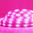 Waterproof LED Strip Pink, 5M, 120LED-M (PINK12V-3528-600-5M) - Vistalux - Falcon Electrical UK